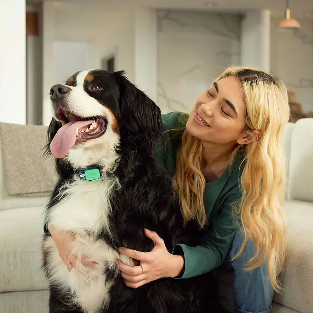 Whistle™ Health smart pet device   12 month subscription included