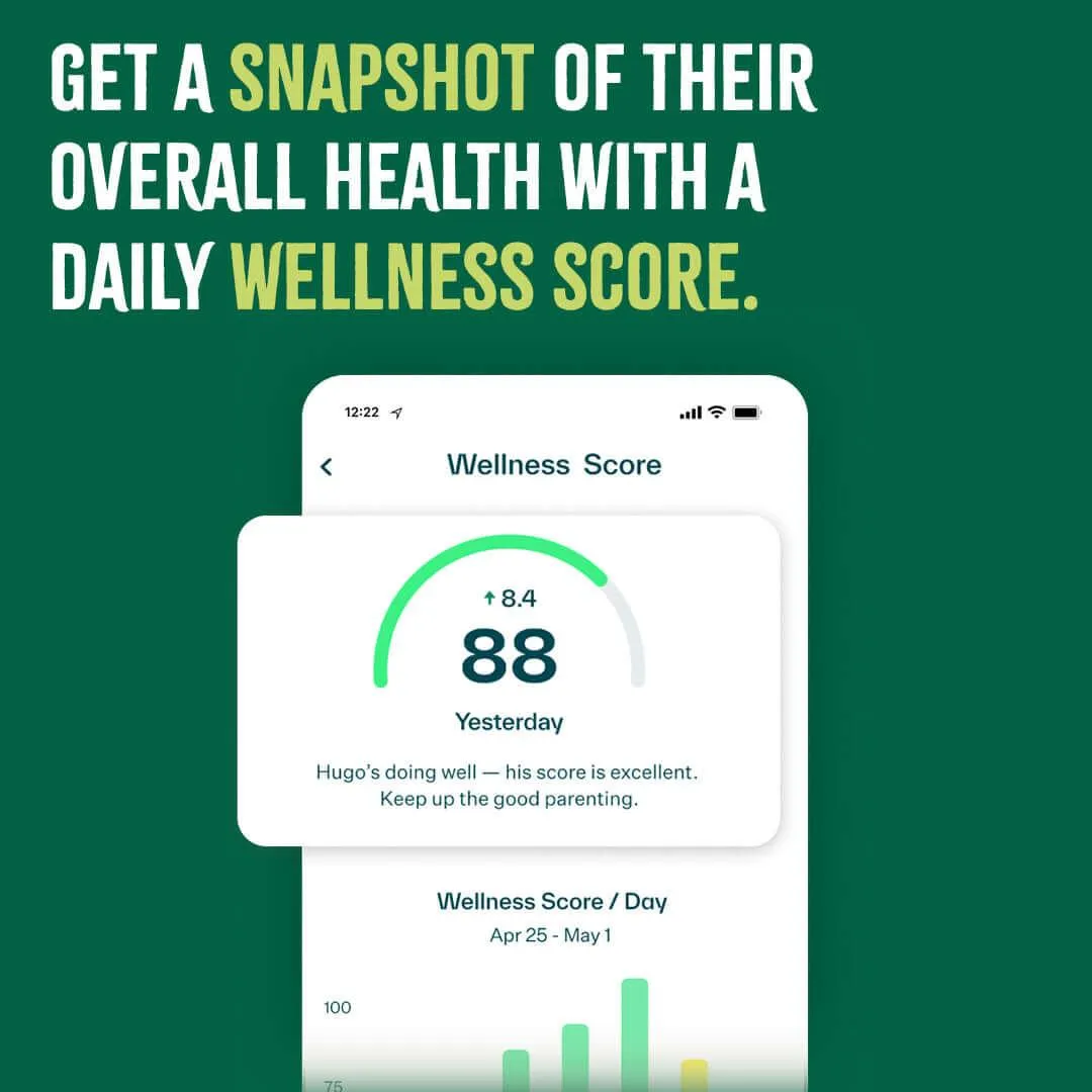 Whistle™ Health smart pet device   12 month subscription included