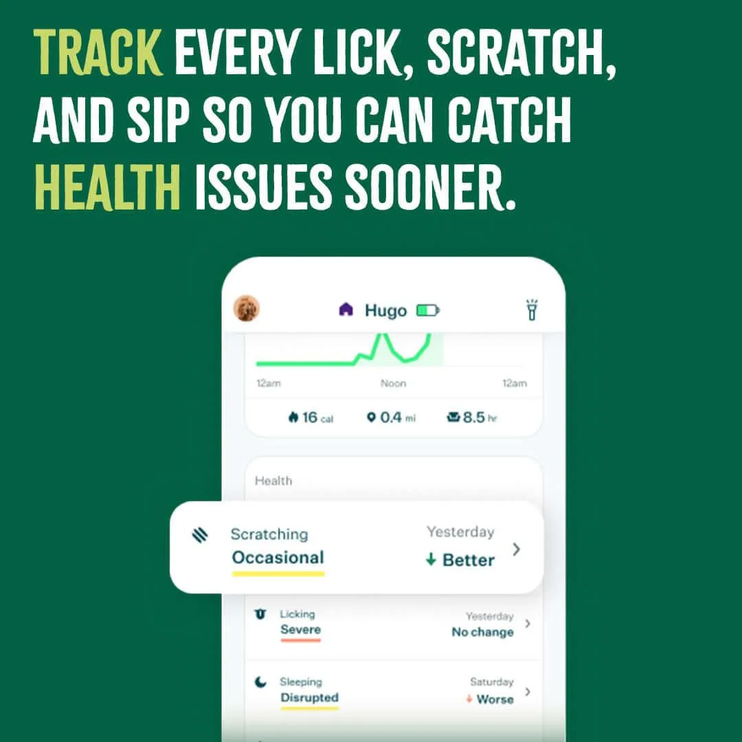 Whistle™ Health smart pet device   12 month subscription included