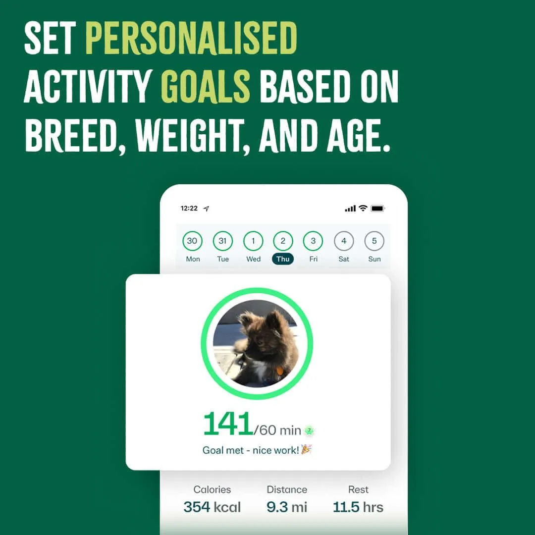 Whistle™ Health smart pet device   12 month subscription included