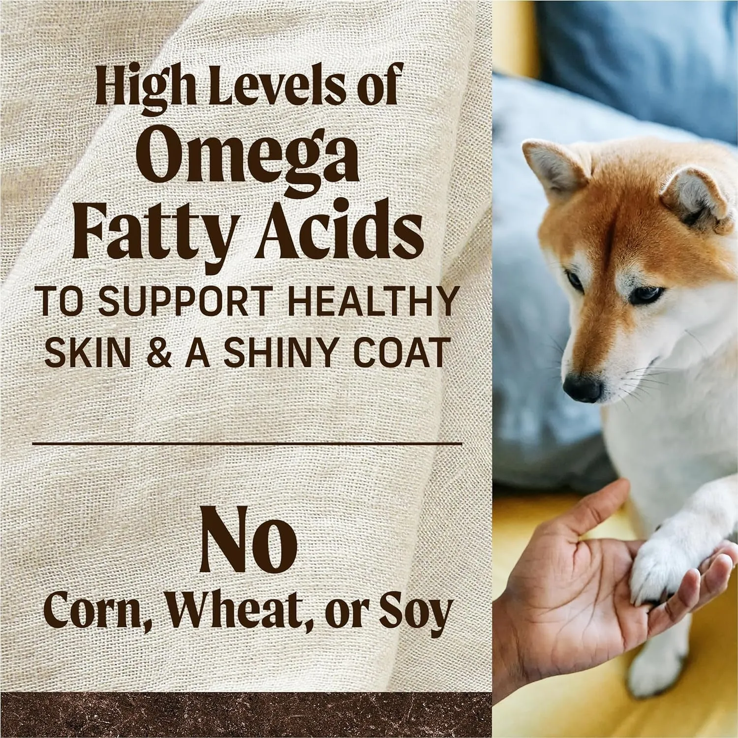 Wholesome and Natural Kibble with Real Chicken and Sweet Potato