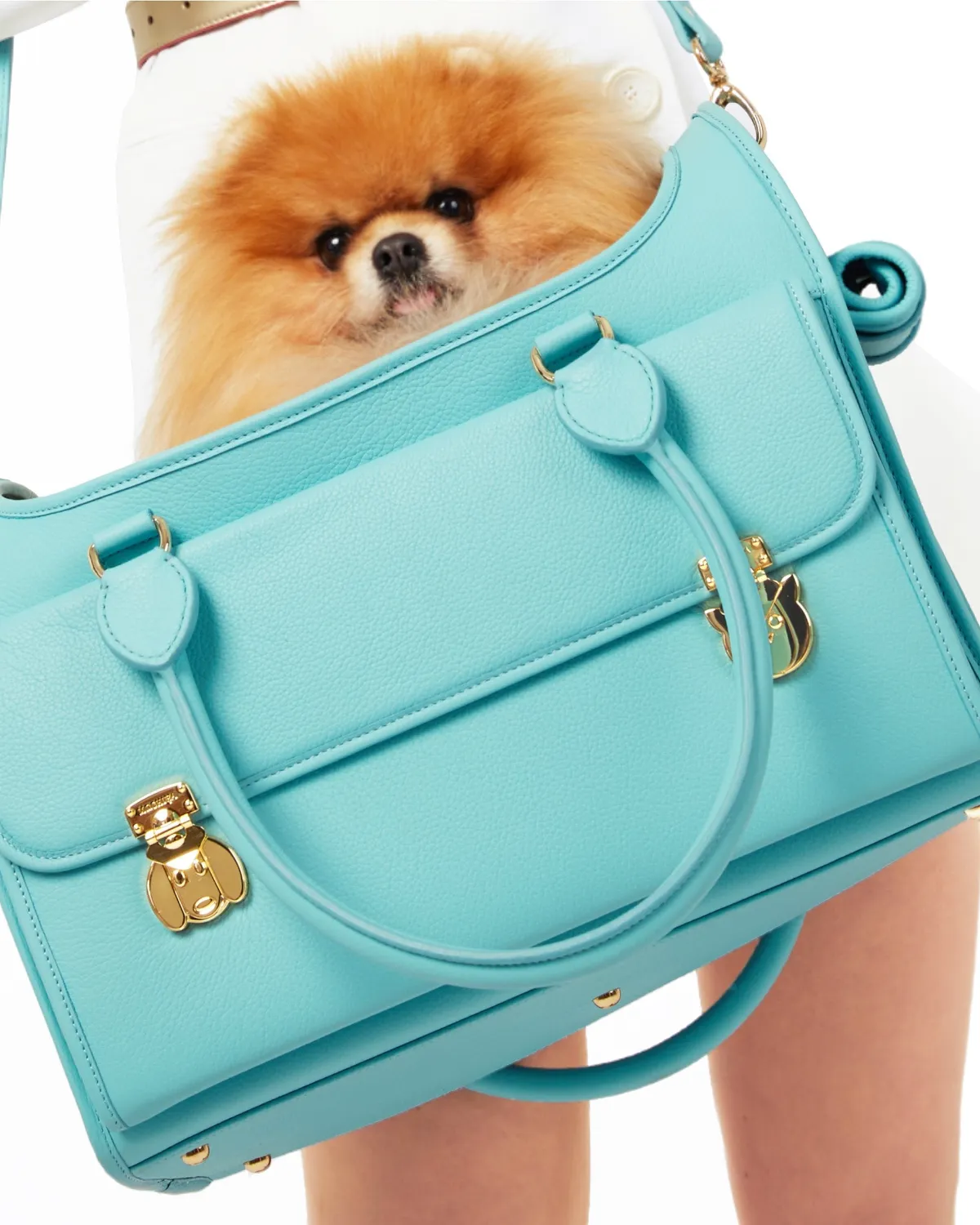 Wonder Nest Dog Travel Bag
