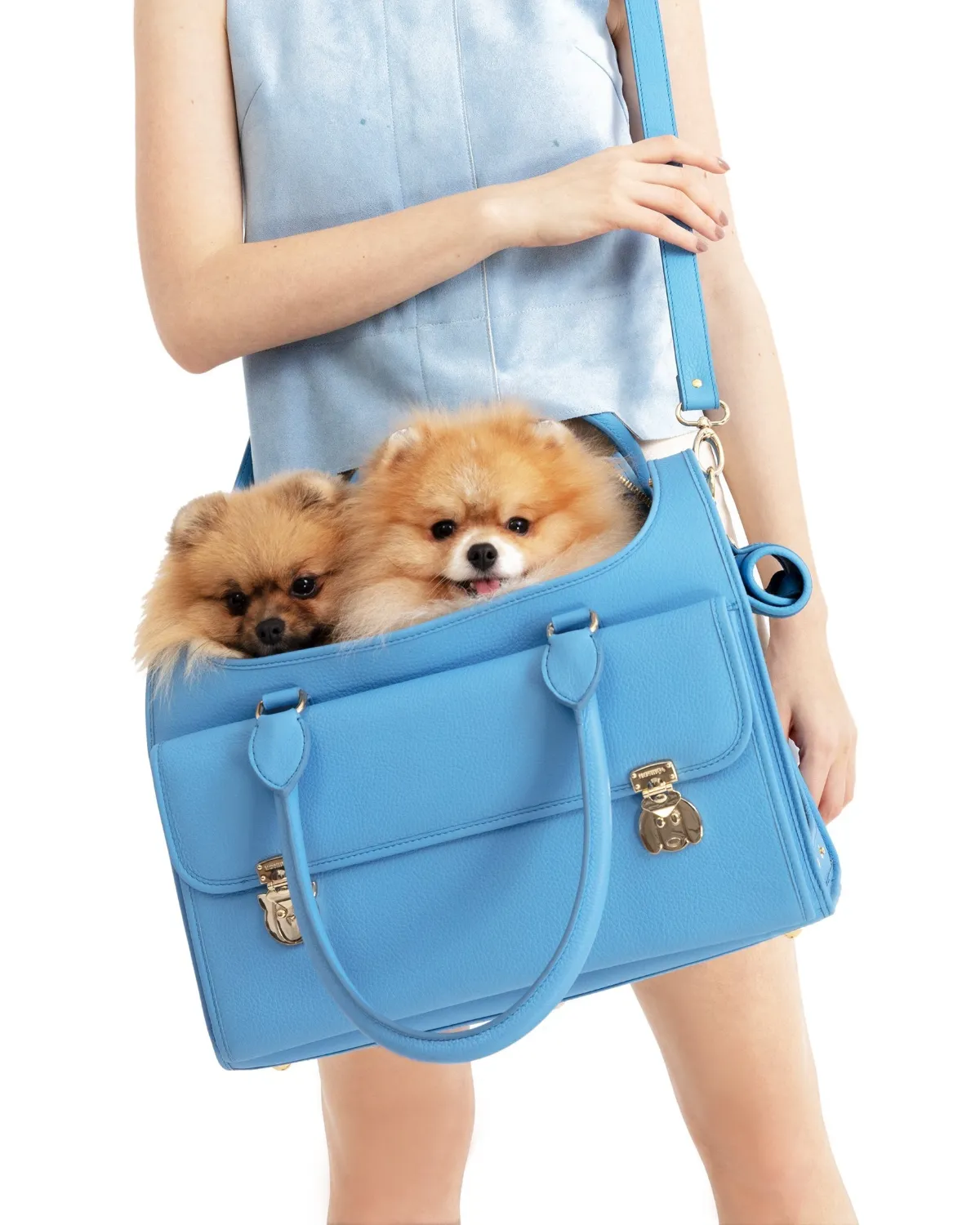 Wonder Nest Dog Travel Bag