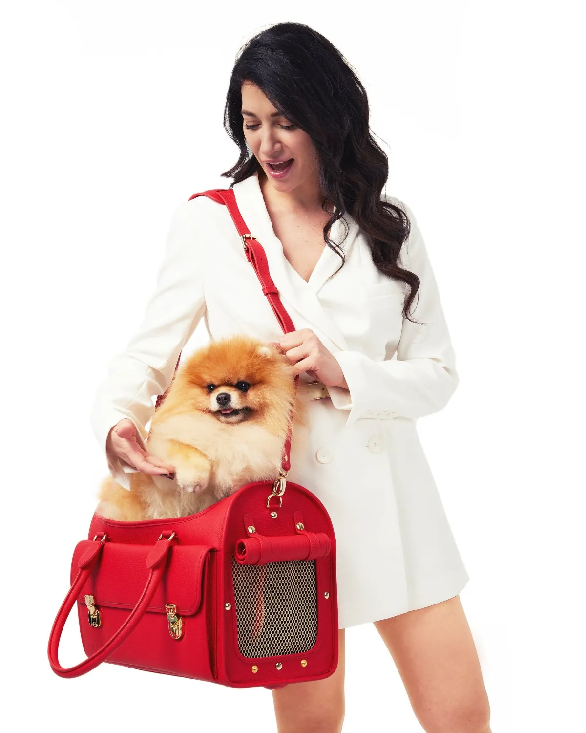 Wonder Nest Dog Travel Bag